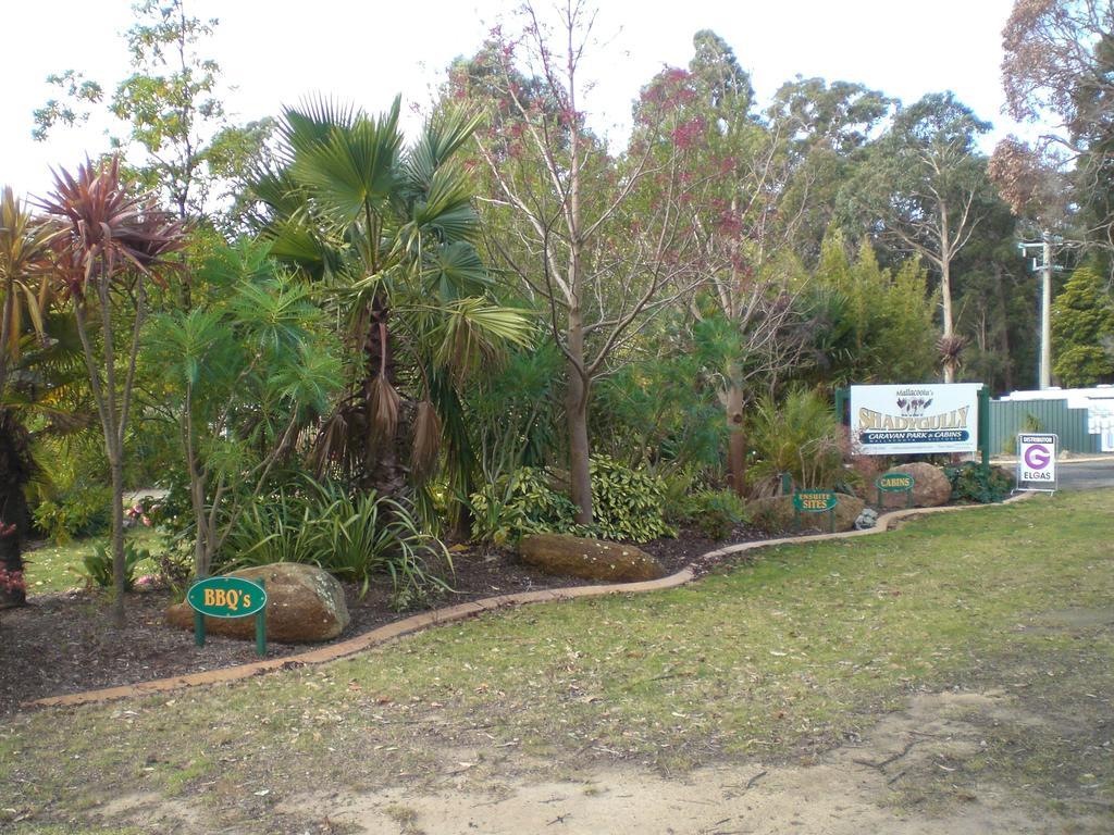 Mallacoota'S Shady Gully Caravan Park المظهر الخارجي الصورة