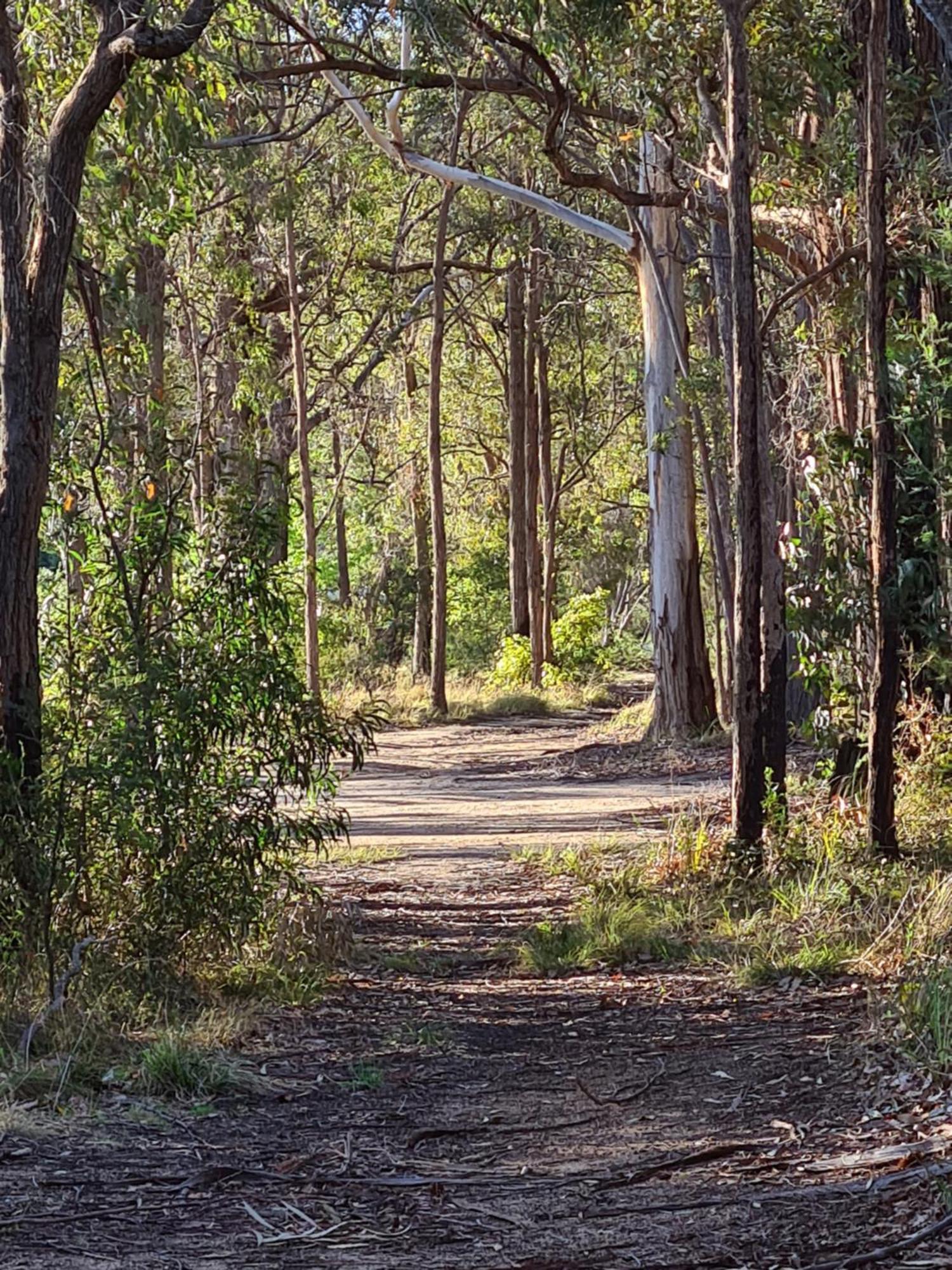 Mallacoota'S Shady Gully Caravan Park المظهر الخارجي الصورة