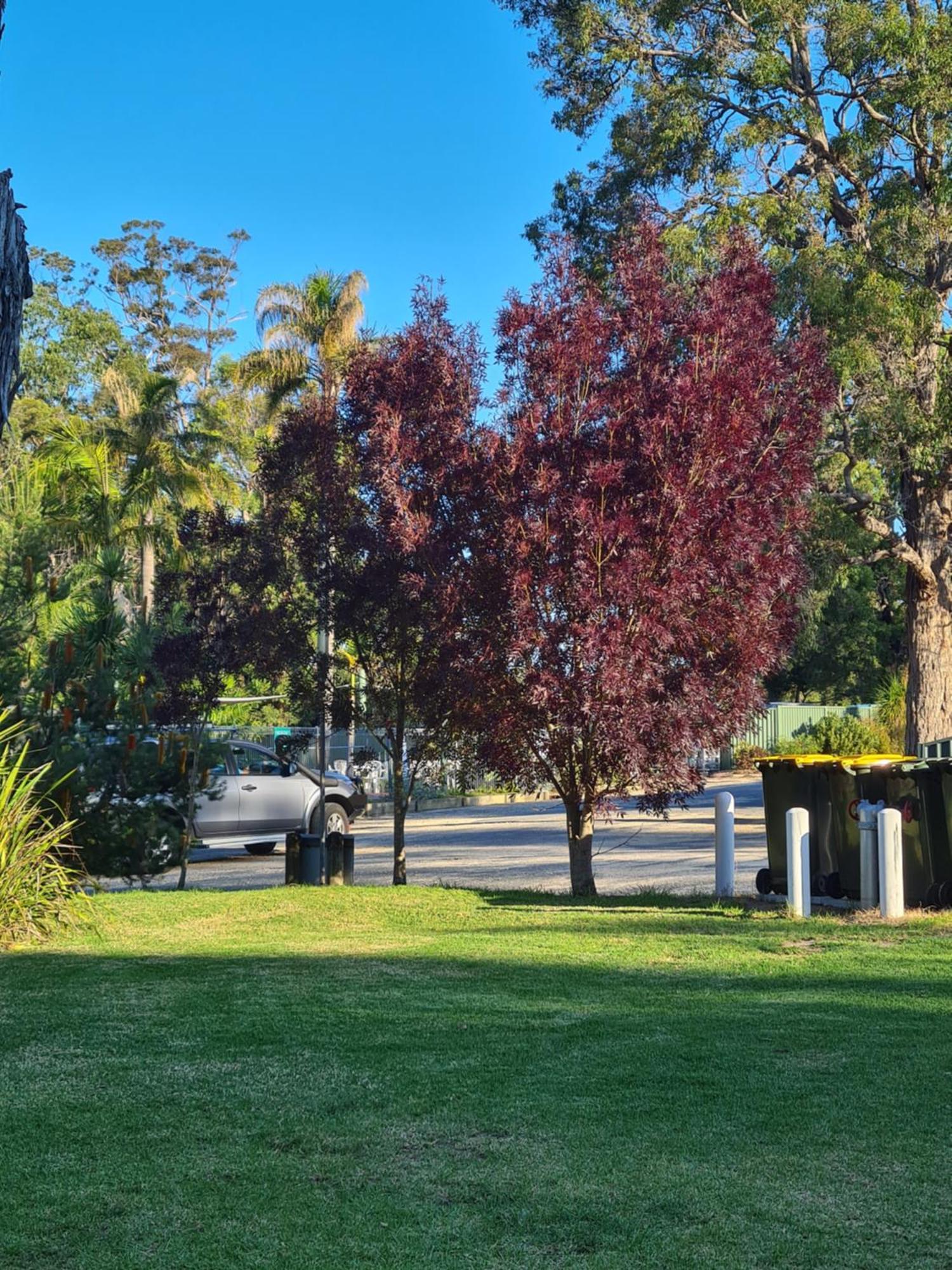 Mallacoota'S Shady Gully Caravan Park المظهر الخارجي الصورة
