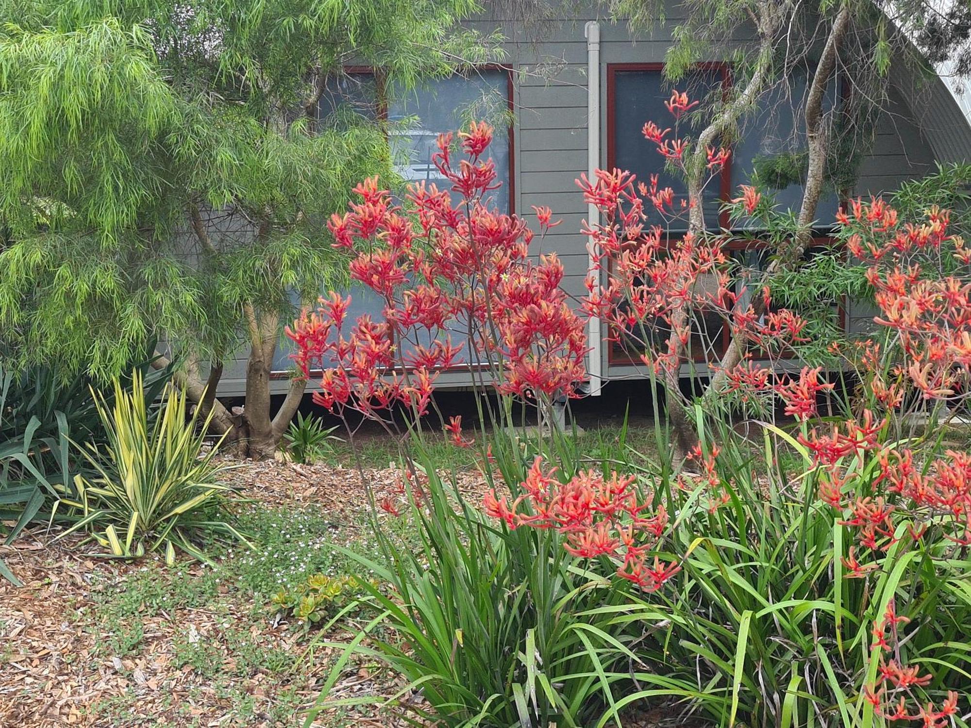 Mallacoota'S Shady Gully Caravan Park المظهر الخارجي الصورة